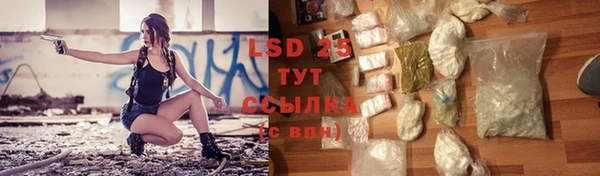 мдпв Осташков