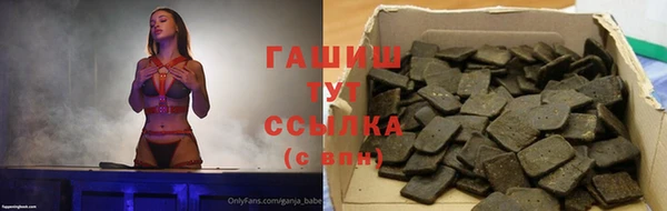 мдпв Осташков