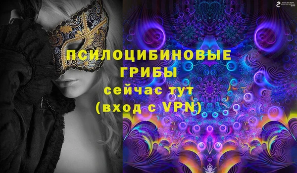 мдпв Осташков