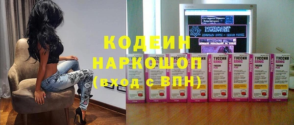 мдпв Осташков