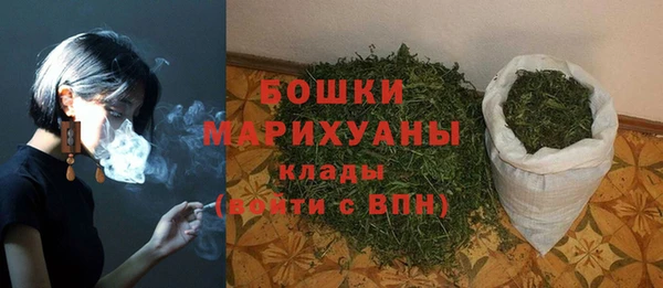 мдпв Осташков
