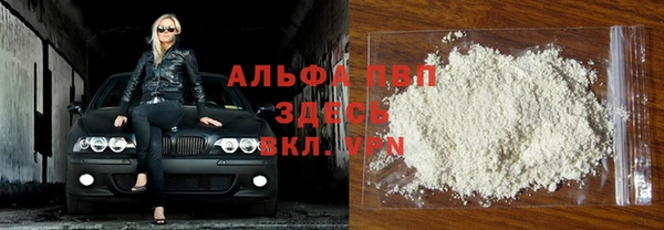 мдпв Осташков