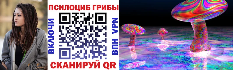 Галлюциногенные грибы Psilocybe  darknet формула  Нахабино 